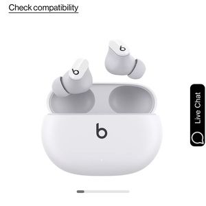 Beats Studio True Wireless Noise Cancelling Earbuds